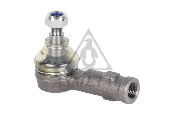 Tie Rod End (17BM0030)