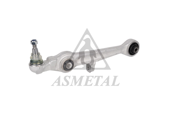 Control/Trailing Arm, wheel suspension (23AU0250)