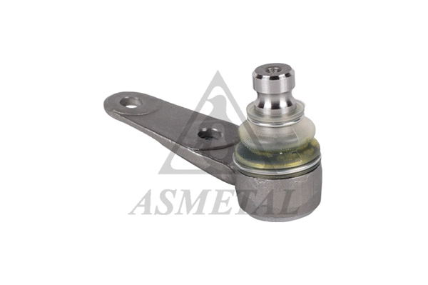Ball Joint (10AU06)