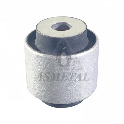 Mounting, control/trailing arm (38MR3610)