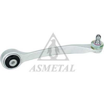 Control/Trailing Arm, wheel suspension (23AU0201B)