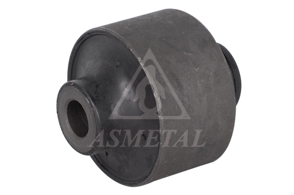 Mounting, control/trailing arm (38RN1020)