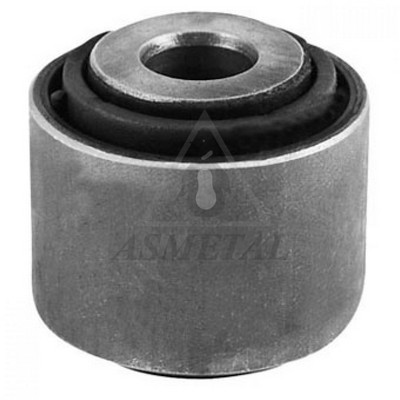 Mounting, control/trailing arm (38AU1304)