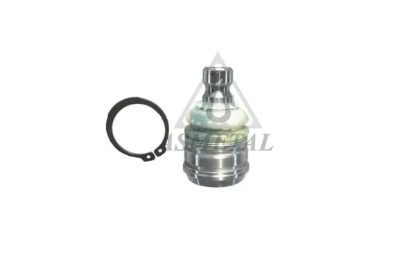Ball Joint (10NS1300)