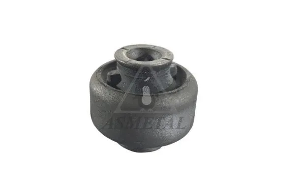Mounting, control/trailing arm (38RN0511)