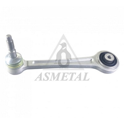 Control/Trailing Arm, wheel suspension (23BM0332B)