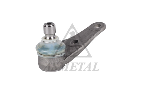 Ball Joint (10AU0000)