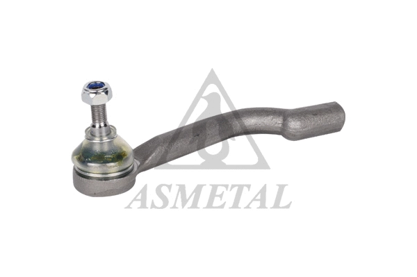 Tie Rod End (17NS1000)