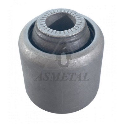 Mounting, control/trailing arm (38BM0421)
