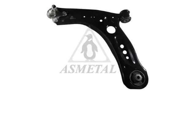 Control/Trailing Arm, wheel suspension (30VW1602)