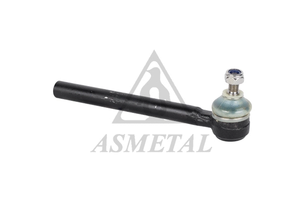 Tie Rod End (17FI0100)