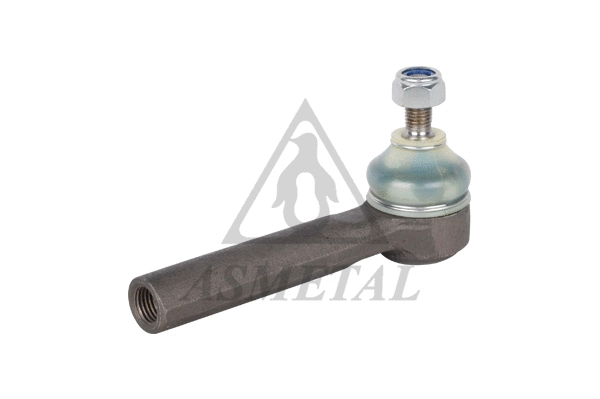 Tie Rod End (17FI2500)