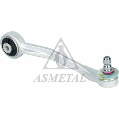 Control/Trailing Arm, wheel suspension (23AU0101B)
