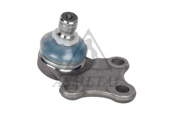 Ball Joint (10CT0100)