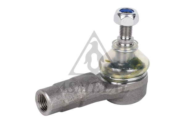 Tie Rod End (17FI5100)