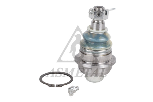 Ball Joint (10HY10)