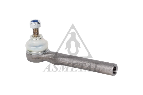 Tie Rod End (17FI2600)