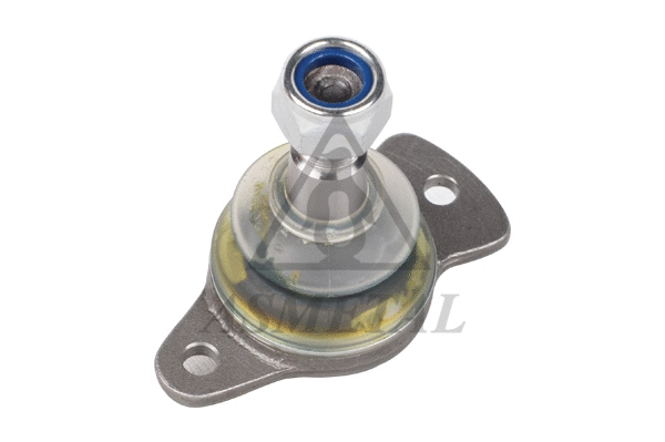 Ball Joint (10RN53)