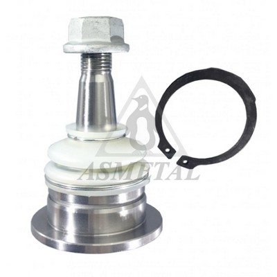 Ball Joint (10TY1100)