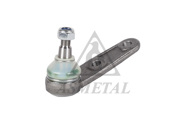 Ball Joint (10DW1000)