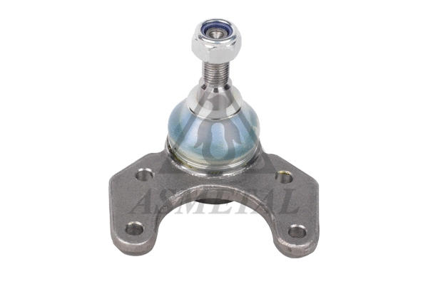 Ball Joint (10RN5200)
