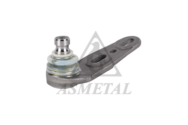 Ball Joint (10AU04)