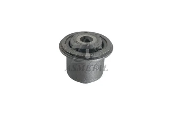 Mounting, control/trailing arm (38RN5560)