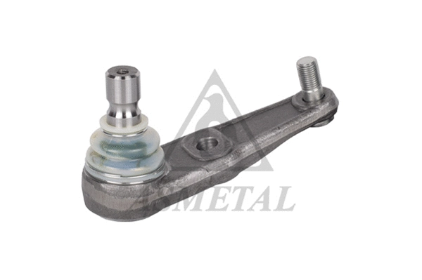 Ball Joint (10MZ0201)