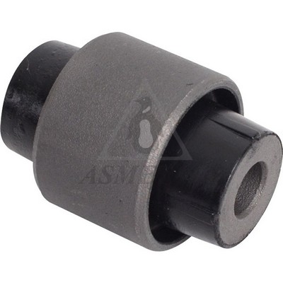 Mounting, control/trailing arm (38HN0220)