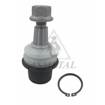 Ball Joint (10LR1910)