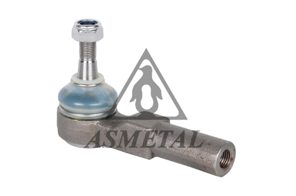 Tie Rod End (17CR0100)