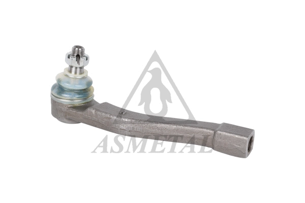 Tie Rod End (17SY0101GP)
