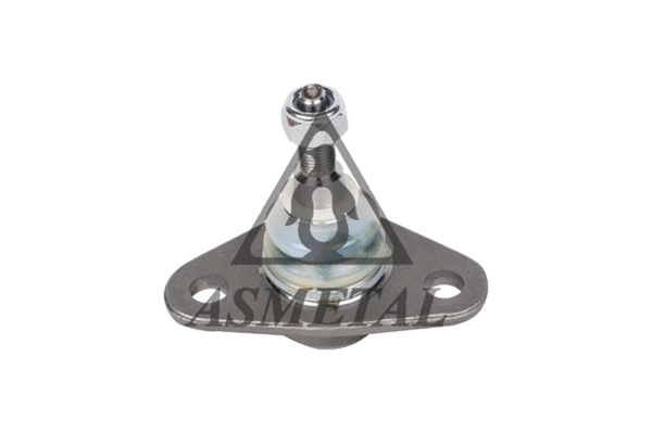 Ball Joint (10VL1015)