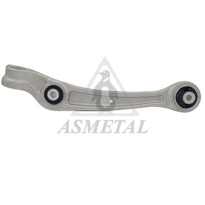 Control/Trailing Arm, wheel suspension (23AU2501B)