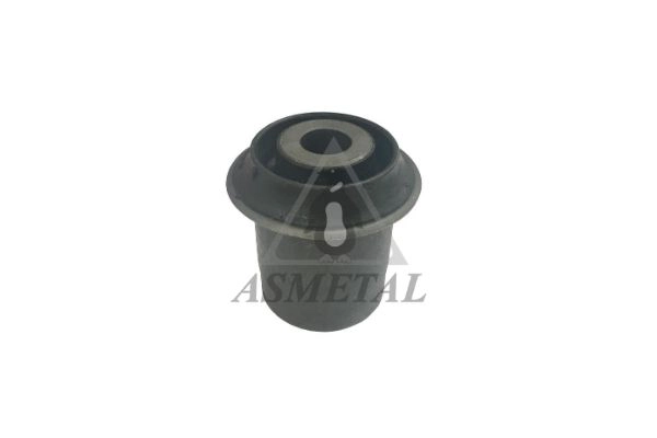 Mounting, control/trailing arm (38HN0201)