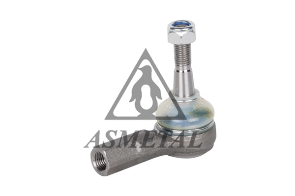 Tie Rod End (17CH0100)