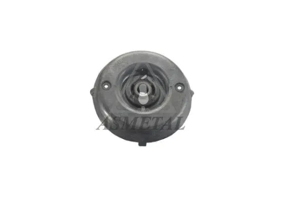 Suspension Strut Support Mount (45PE1110)