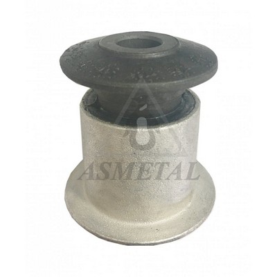 Mounting, control/trailing arm (38AU1303)