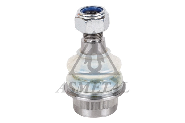 Ball Joint (10MR0100)