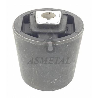 Mounting, control/trailing arm (38BM1007)