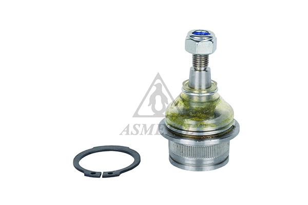 Ball Joint (10CT1005)