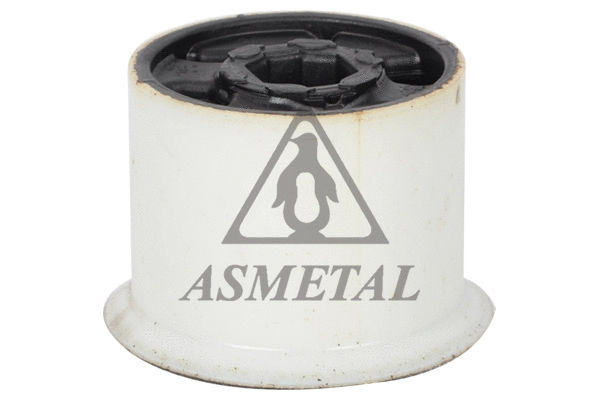Mounting, control/trailing arm (38VW1260)