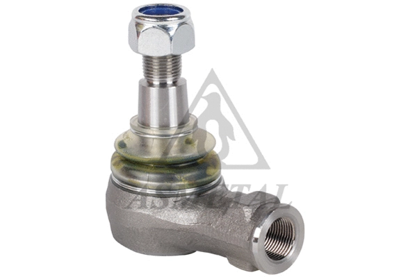 Tie Rod End (17IV39)