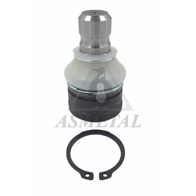 Ball Joint (10PE4800)