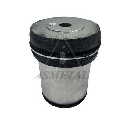 Bushing, axle beam (38OP2644)