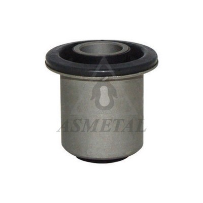 Mounting, control/trailing arm (38RN1100)