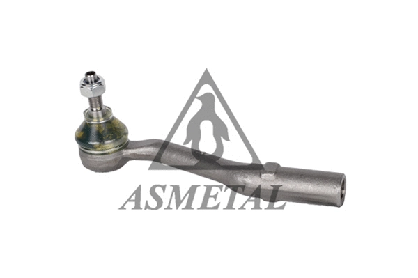 Tie Rod End (17CT0610)