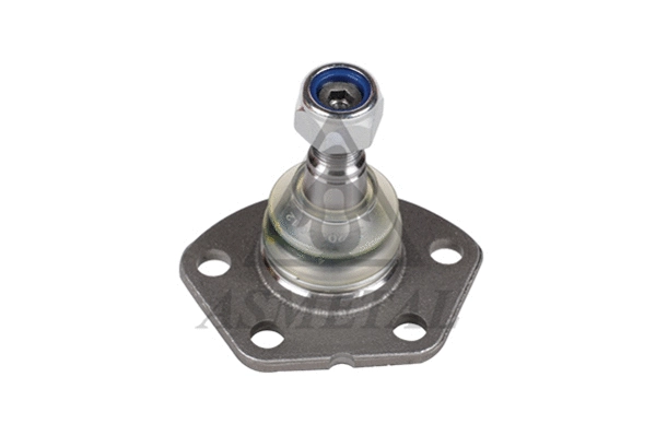 Ball Joint (10FI3005)
