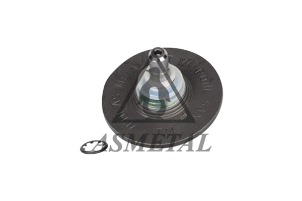 Ball Joint (10RN1110)