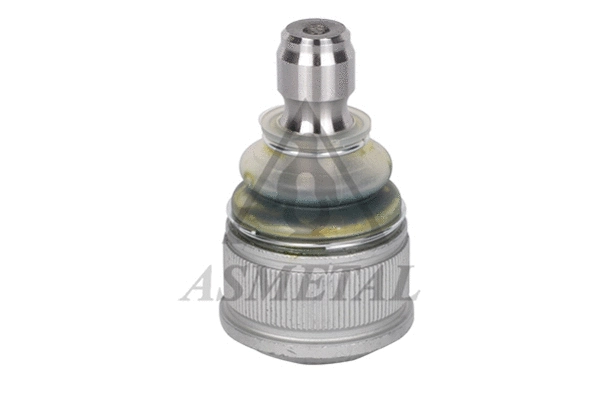 Ball Joint (10MZ0500)